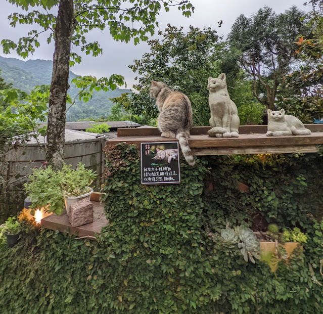 童話般的山城小旅行: 南庄橄欖樹,42份湧泉自然生態步道,相遇森林屋 - 第3張圖 童話般的山城小旅行: 南庄橄欖樹,42份湧泉自然生態步道,相遇森林屋