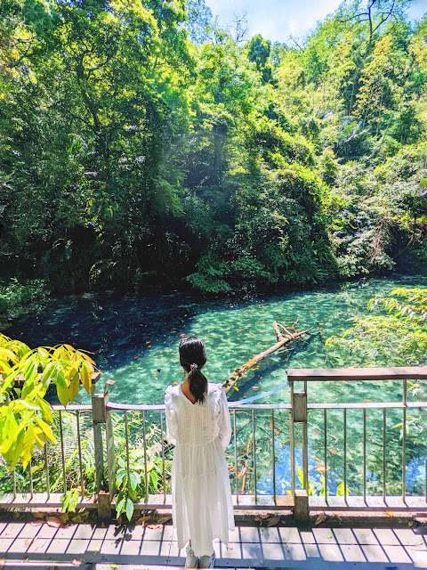 童話般的山城小旅行: 南庄橄欖樹,42份湧泉自然生態步道,相遇森林屋 - 第12張圖 童話般的山城小旅行: 南庄橄欖樹,42份湧泉自然生態步道,相遇森林屋