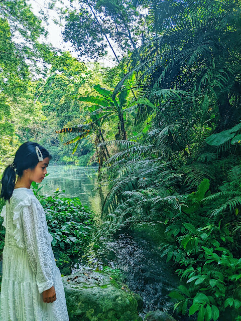 童話般的山城小旅行: 南庄橄欖樹,42份湧泉自然生態步道,相遇森林屋 - 第13張圖 童話般的山城小旅行: 南庄橄欖樹,42份湧泉自然生態步道,相遇森林屋