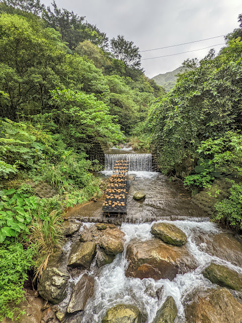 金漫會館: 金瓜石天主堂改建而成的民宿，充滿日式氛圍 坐擁山海景點。