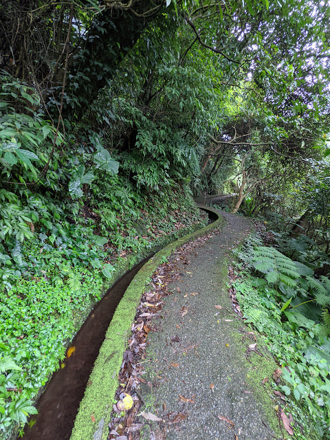 新北市石門區 青山瀑布步道 與青翠森林和沁涼溪水相伴而行 - 第3張圖 新北市石門區 青山瀑布步道 與青翠森林和沁涼溪水相伴而行