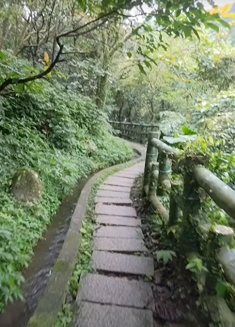 新北市石門區 青山瀑布步道 與青翠森林和沁涼溪水相伴而行