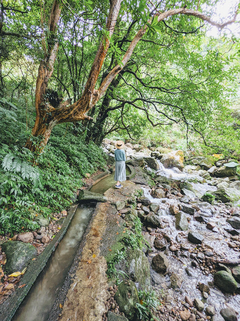 新北市石門區 青山瀑布步道 與青翠森林和沁涼溪水相伴而行 - 第7張圖 新北市石門區 青山瀑布步道 與青翠森林和沁涼溪水相伴而行