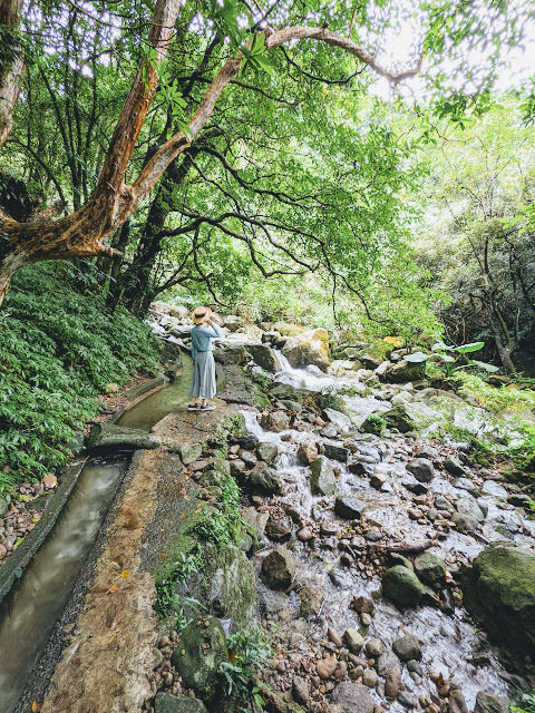 新北市石門區 青山瀑布步道 與青翠森林和沁涼溪水相伴而行 - 第8張圖 新北市石門區 青山瀑布步道 與青翠森林和沁涼溪水相伴而行
