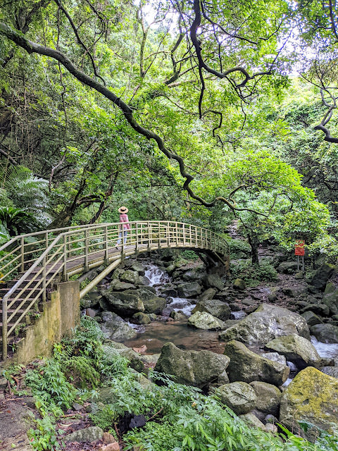 新北市石門區 青山瀑布步道 與青翠森林和沁涼溪水相伴而行 - 第11張圖 新北市石門區 青山瀑布步道 與青翠森林和沁涼溪水相伴而行