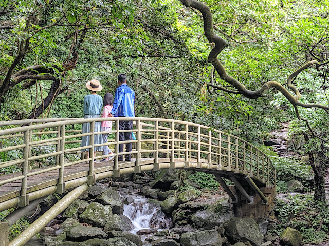 新北市石門區 青山瀑布步道 與青翠森林和沁涼溪水相伴而行 - 第12張圖 新北市石門區 青山瀑布步道 與青翠森林和沁涼溪水相伴而行