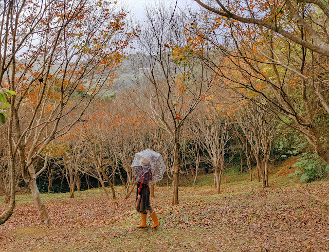 桃園 復興區: 遠眺溪谷與群山的開闊風景 角板山行館