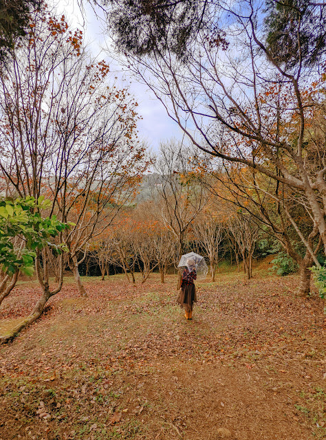 桃園 復興區: 遠眺溪谷與群山的開闊風景 角板山行館 - 第3張圖 桃園 復興區: 遠眺溪谷與群山的開闊風景 角板山行館