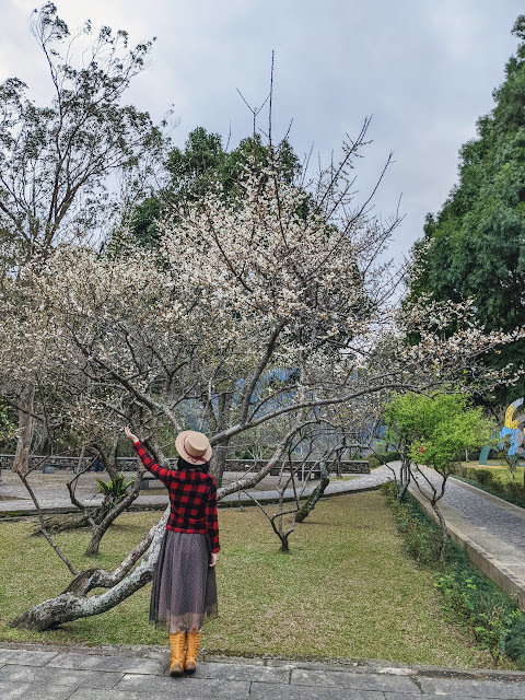桃園 復興區: 遠眺溪谷與群山的開闊風景 角板山行館