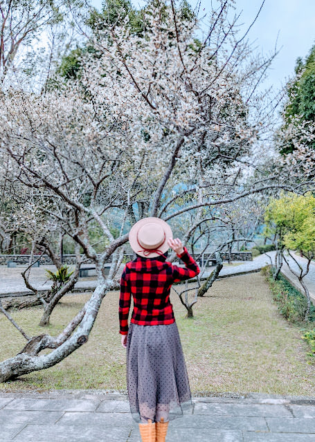 桃園 復興區: 遠眺溪谷與群山的開闊風景 角板山行館