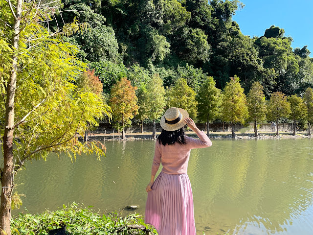 桃園大溪 月眉人工溼地公園 夢幻水畔落羽松林