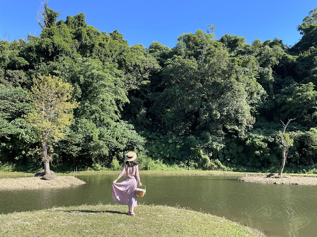 桃園大溪 月眉人工溼地公園 夢幻水畔落羽松林