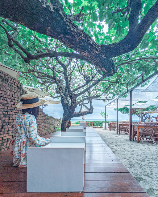 三芝小旅行: 療癒海景咖啡 Villa Sugar、山中的綠意溫室 Papa在三芝 民宿 咖啡廳、兩層樓高書牆秘密基地 有故事也居