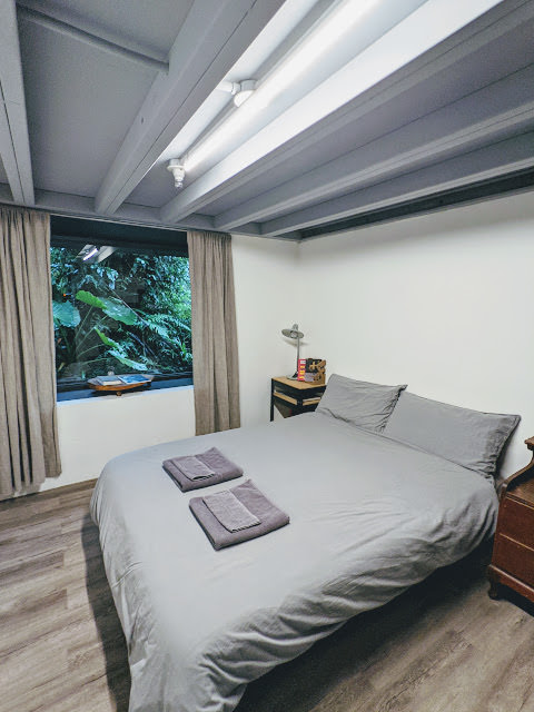 三芝小旅行: 療癒海景咖啡 Villa Sugar、山中的綠意溫室 Papa在三芝 民宿 咖啡廳、兩層樓高書牆秘密基地 有故事也居