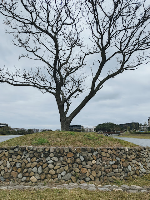 桃園青埔 絕美建築與書法藝術相互輝映: 橫山書法藝術館、橫山書法公園