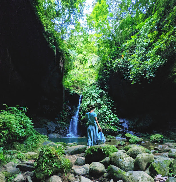 影片日記 2021年8月: 花蓮蝴蝶谷、陽明山擎天崗、台灣地景花園、三民蝙蝠洞