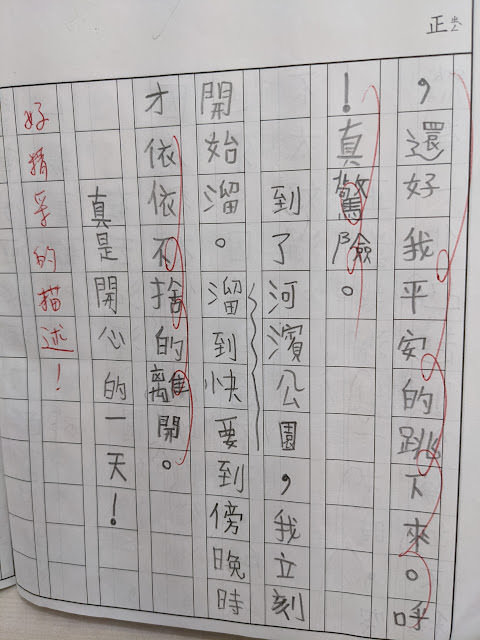古亭河濱公園花海 + 古亭河濱公園 作文 (9 Years Old) - 第21張圖 古亭河濱公園花海 + 古亭河濱公園 作文 (9 Years Old)