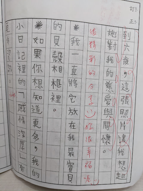 [作文] 一張照片的故事 （9 Years Old)