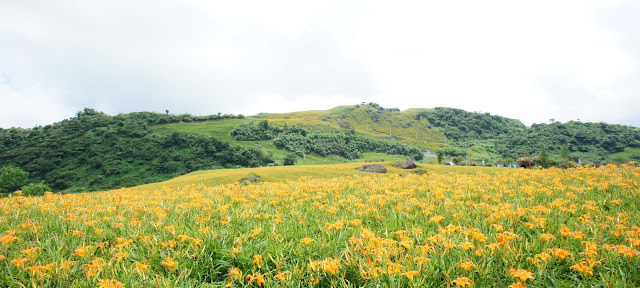 吹吹風 小旅行 花蓮景點紀錄: 太魯閣、林田山、石梯坪、六十石山金針花、阿德南斯民宿、花蓮市