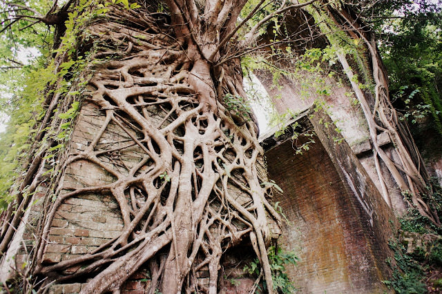 深呼吸 小旅行: 三義木雕博物館、樹也Villa、龍騰斷橋