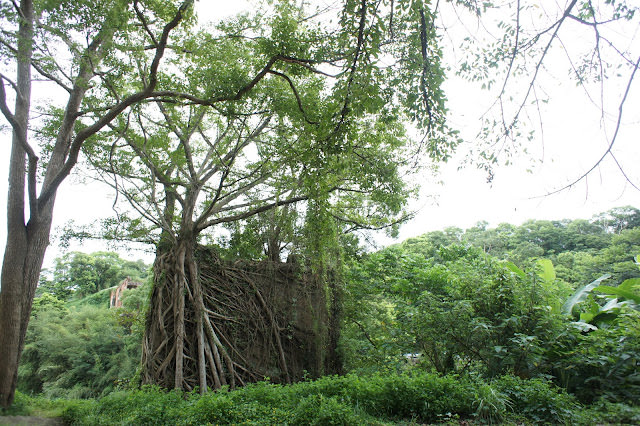 深呼吸 小旅行: 三義木雕博物館、樹也Villa、龍騰斷橋