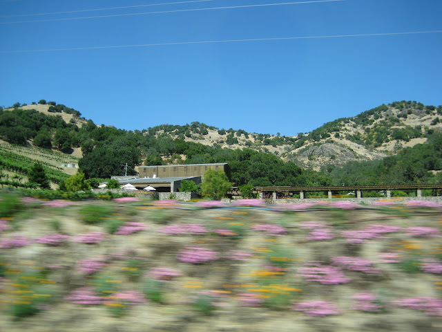 陽光燦爛的加州: Yosemite 優勝美地, Napa 納帕谷, San Francisco 舊金山市區