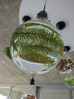 Collection of Green 。 綠