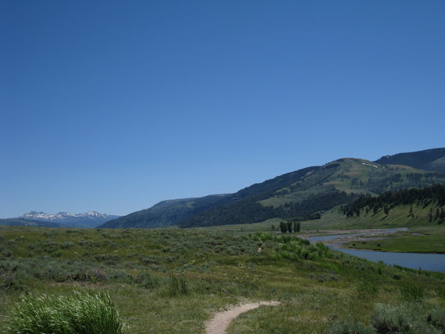 Yellowstone National Park 黃石國家公園 所有你能想像的夢幻顏色