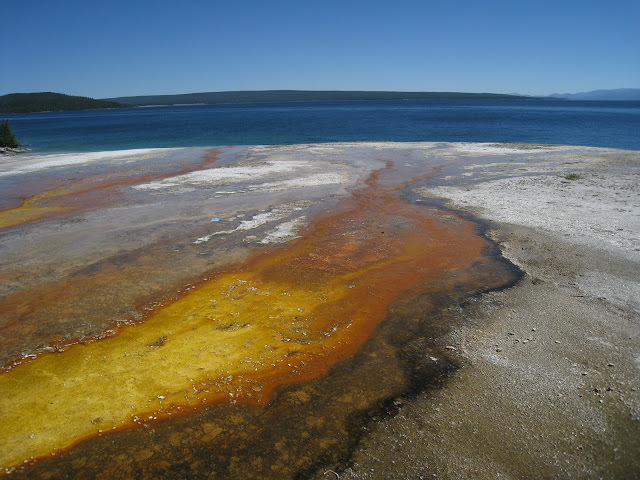 Yellowstone National Park 黃石國家公園 所有你能想像的夢幻顏色