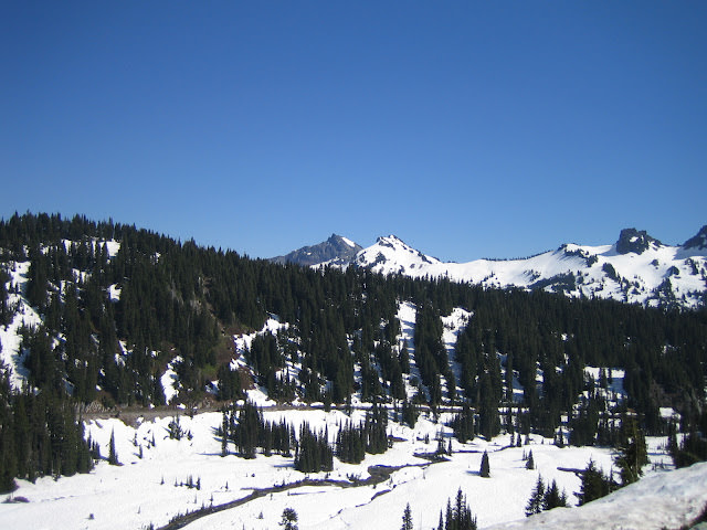 西雅圖 愛玩捉迷藏的火山 雷尼爾山 Mt. Rainier