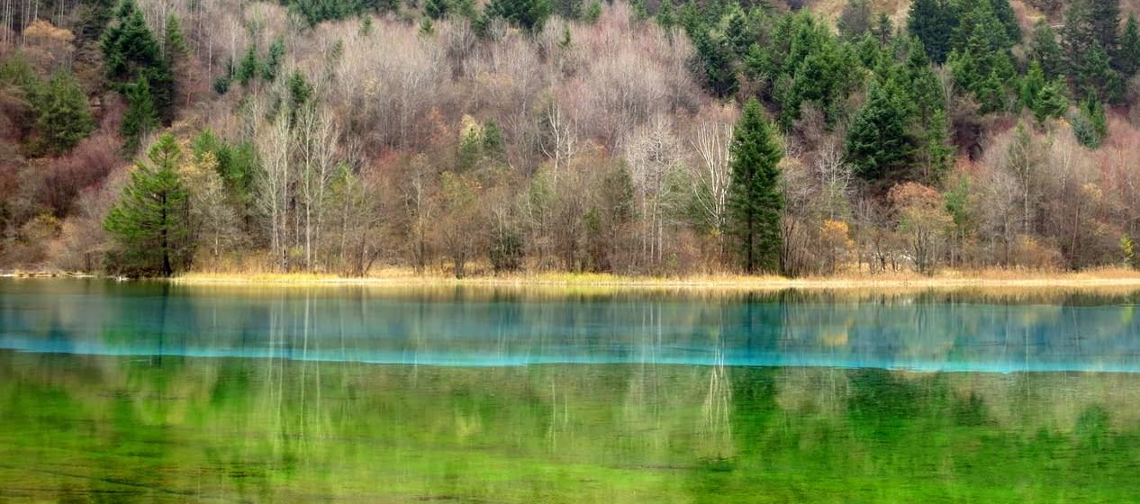 九寨歸來不看水  九寨溝 Jiuzhaigou