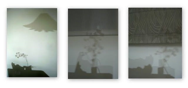 Collection of Shadows 。 影子