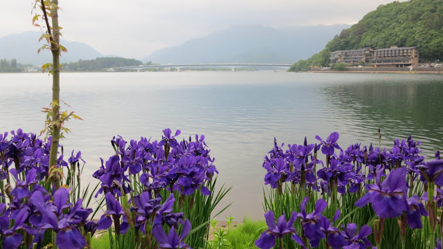 散步 河口湖景點 Kawaguchiko