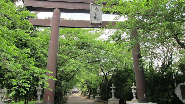 散步 河口湖景點 Kawaguchiko