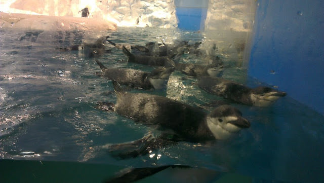 環島旅行 6: 屏東 國立海洋生物博物館、台南 木十八