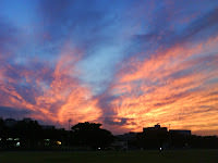 Collection of Orange 。 橙