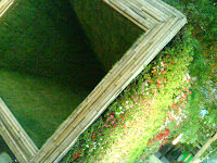 Collection of Green 。 綠