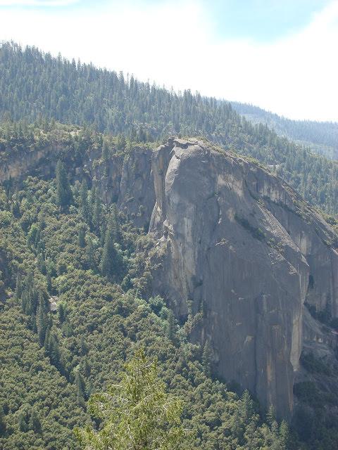陽光燦爛的加州: Yosemite 優勝美地, Napa 納帕谷, San Francisco 舊金山市區