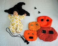 Collection of Orange 。 橙