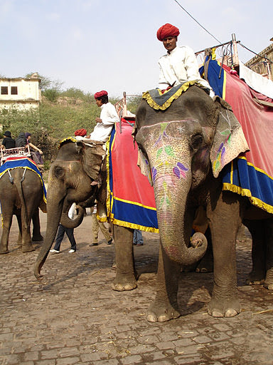 India 印度 – Pink City Jaipur, Blue City Jodhpur, and White City Udaipur 粉紅城市齋浦爾，藍色城市久德浦爾，白色城市烏代浦爾