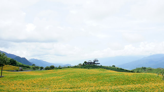 吹吹風 小旅行 花蓮景點紀錄: 太魯閣、林田山、石梯坪、六十石山金針花、阿德南斯民宿、花蓮市
