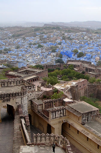 India 印度 – Pink City Jaipur, Blue City Jodhpur, and White City Udaipur 粉紅城市齋浦爾，藍色城市久德浦爾，白色城市烏代浦爾