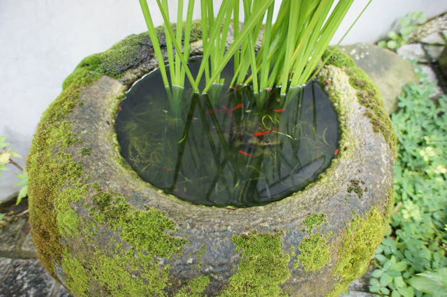 清水模 灰的極致 毛鏗