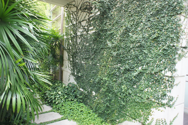 深呼吸 小旅行: 三義木雕博物館、樹也Villa、龍騰斷橋