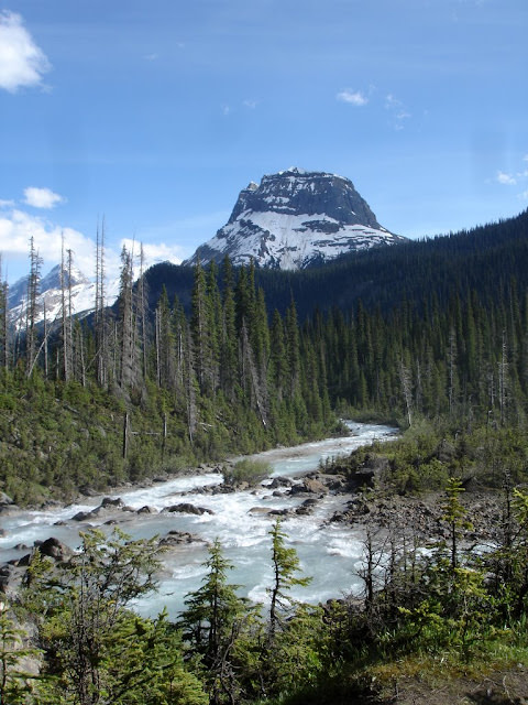 Canadian Rockies 加拿大洛磯山脈國家公園