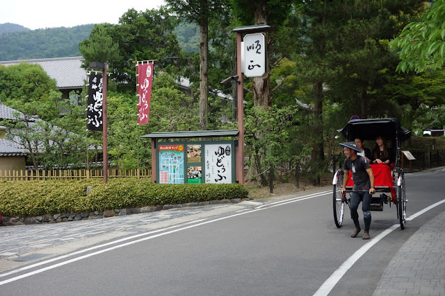 京都: 南禪寺、天授庵 晶瑩剔透的新綠色星星