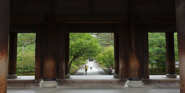 京都: 南禪寺、天授庵 晶瑩剔透的新綠色星星