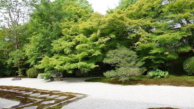 京都: 南禪寺、天授庵 晶瑩剔透的新綠色星星