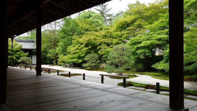 京都: 南禪寺、天授庵 晶瑩剔透的新綠色星星