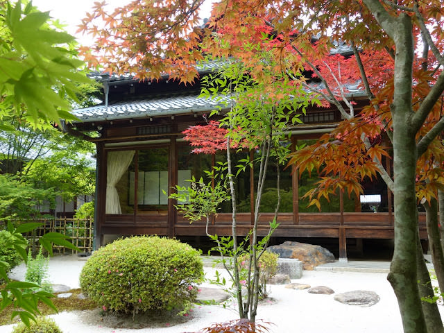京都: 南禪寺、天授庵 晶瑩剔透的新綠色星星